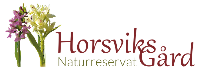 Horsviks Naturreservat